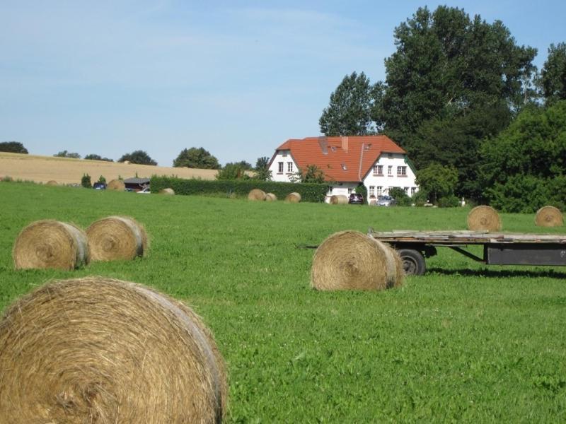 Landhaus Alt Reddevitz Hotel Middelhagen Exterior photo