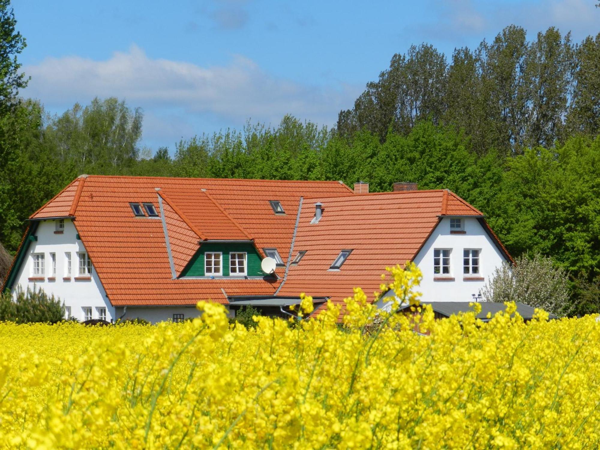 Landhaus Alt Reddevitz Hotel Middelhagen Exterior photo