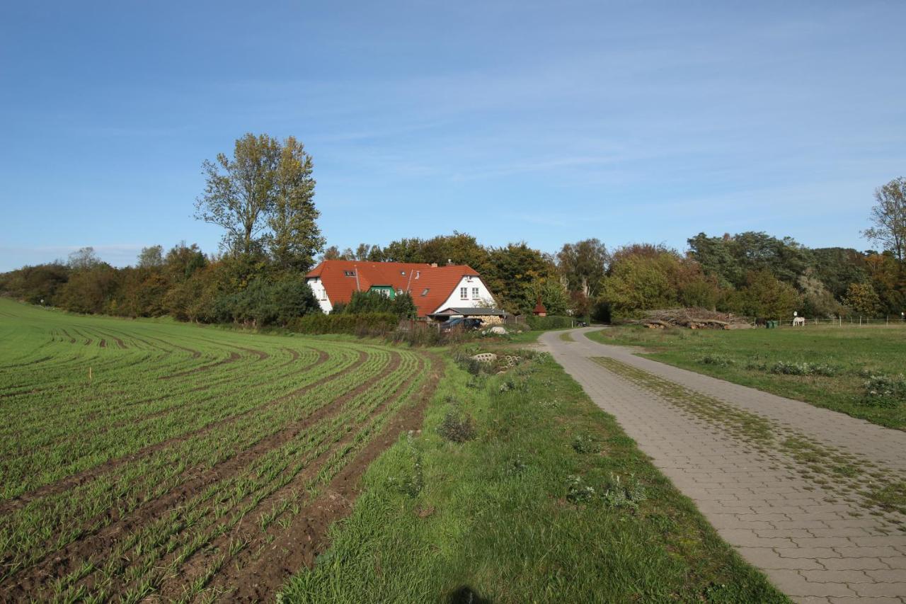 Landhaus Alt Reddevitz Hotel Middelhagen Exterior photo